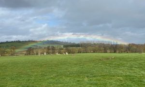 a low rainbow over a stone circle