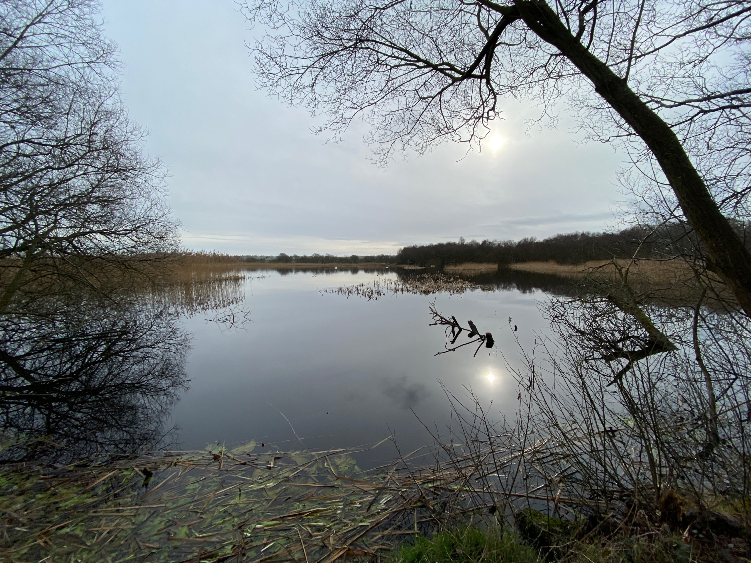 Still waters at Shapwick heath, Somerset