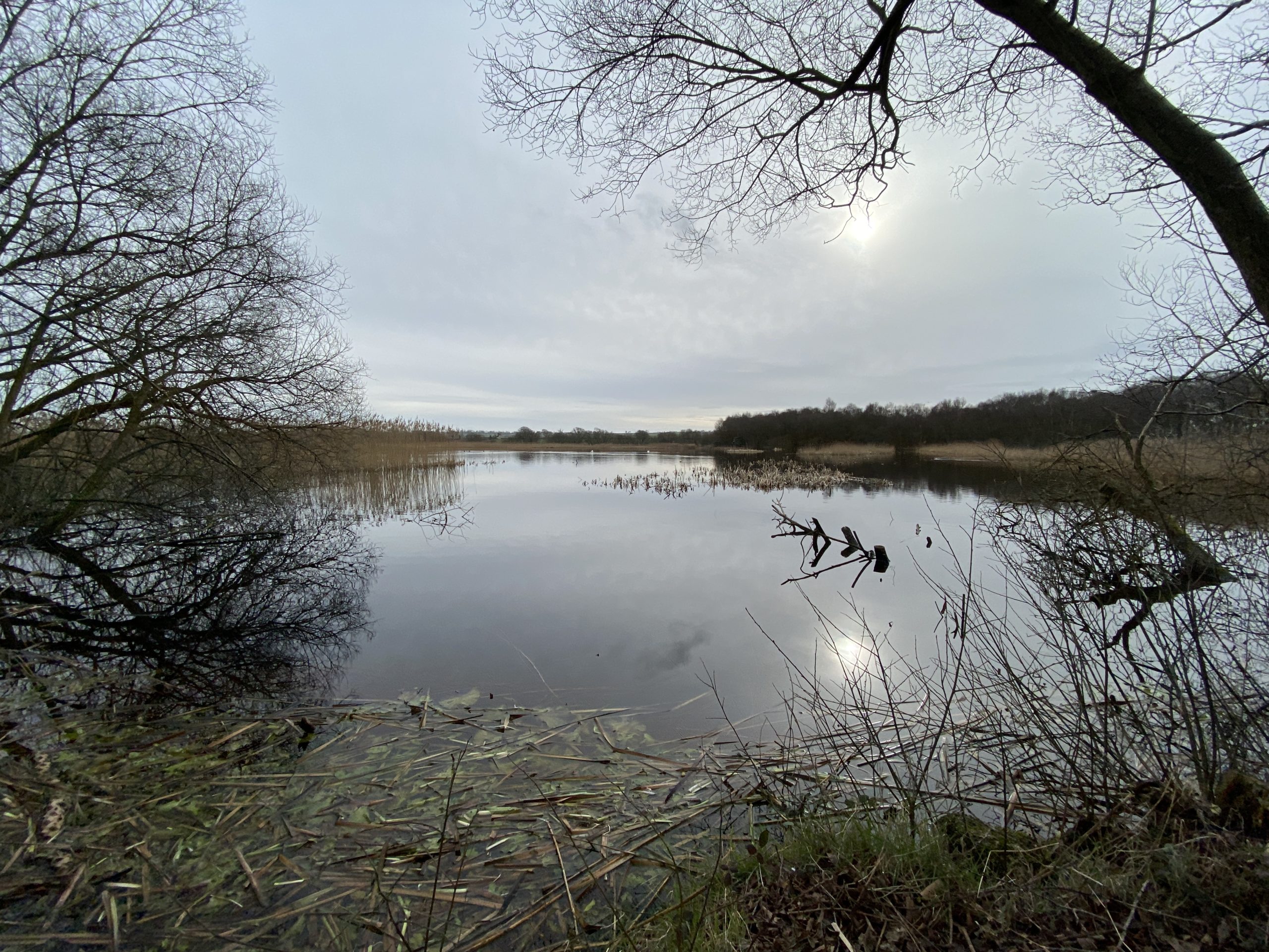 hazy sunlight reflected in still water