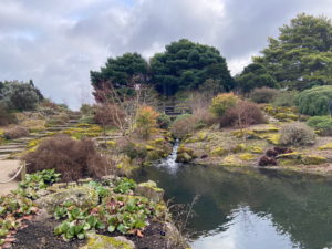 a sculptured garden at Edinburgh botanical gardens