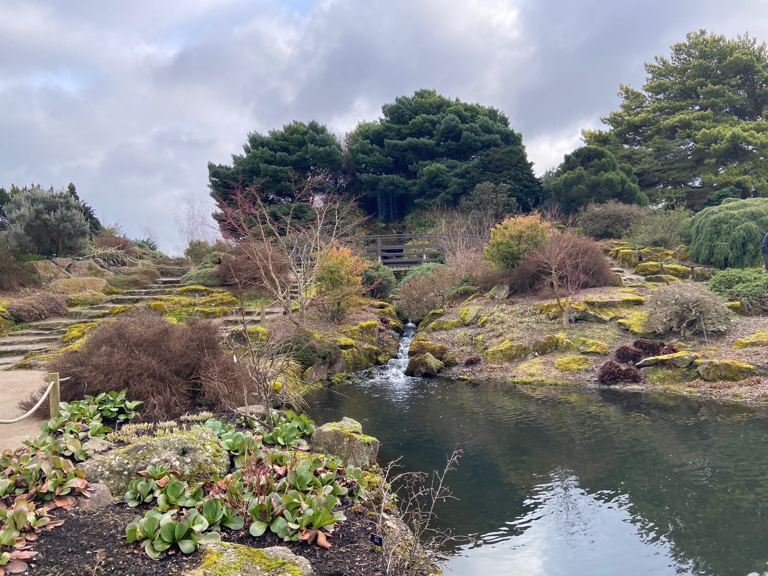 a sculptured garden at Edinburgh botanical gardens