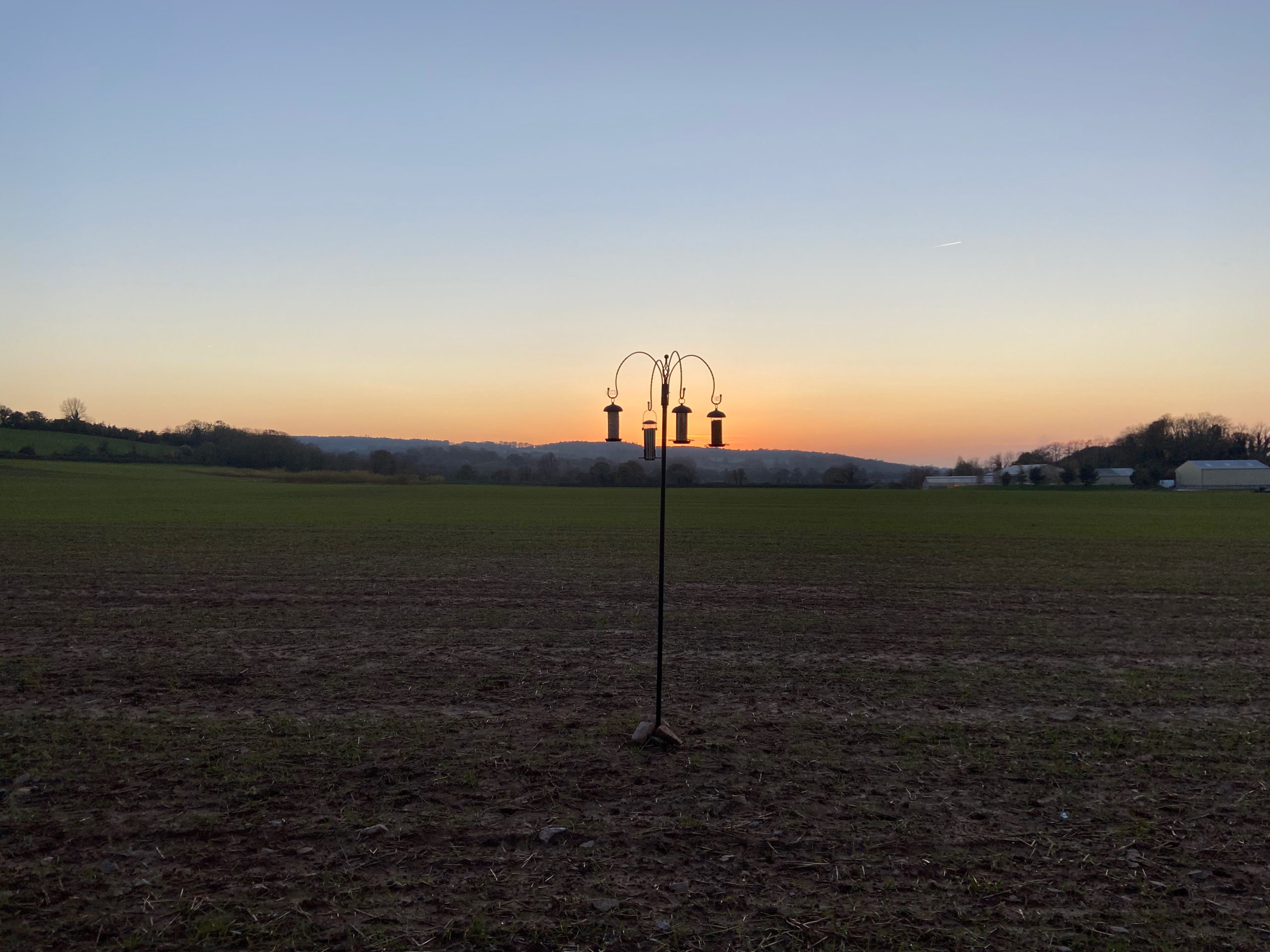 A bird feeder in a field against the setting sun