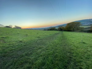 A track runs through a field on a winters day with telegraph wires overhead
