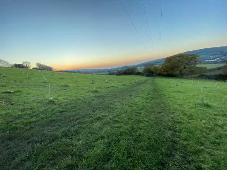 A track runs through a field on a winters day with telegraph wires overhead