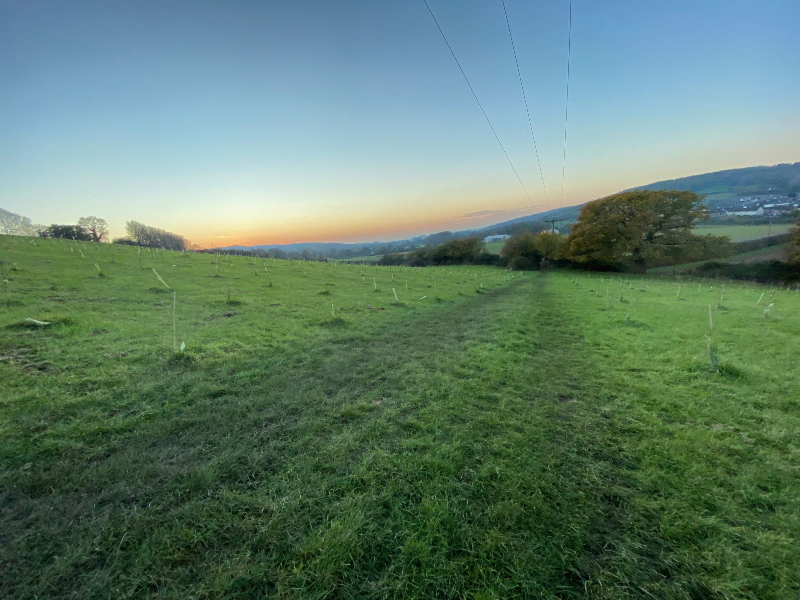 A track runs through a field on a winters day with telegraph wires overhead