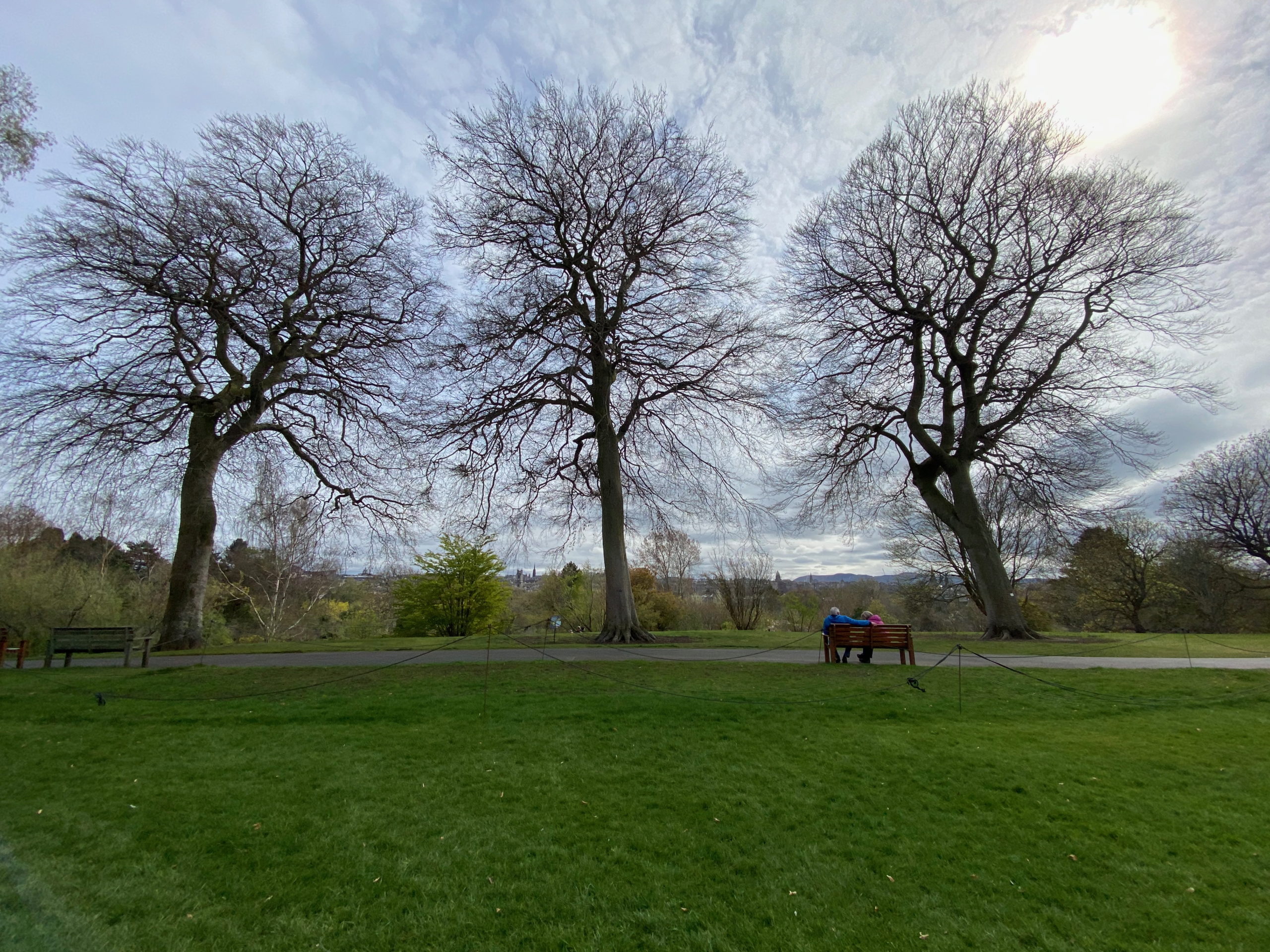 two people on a bench under three tall trees looking out on a view of Edinburgh