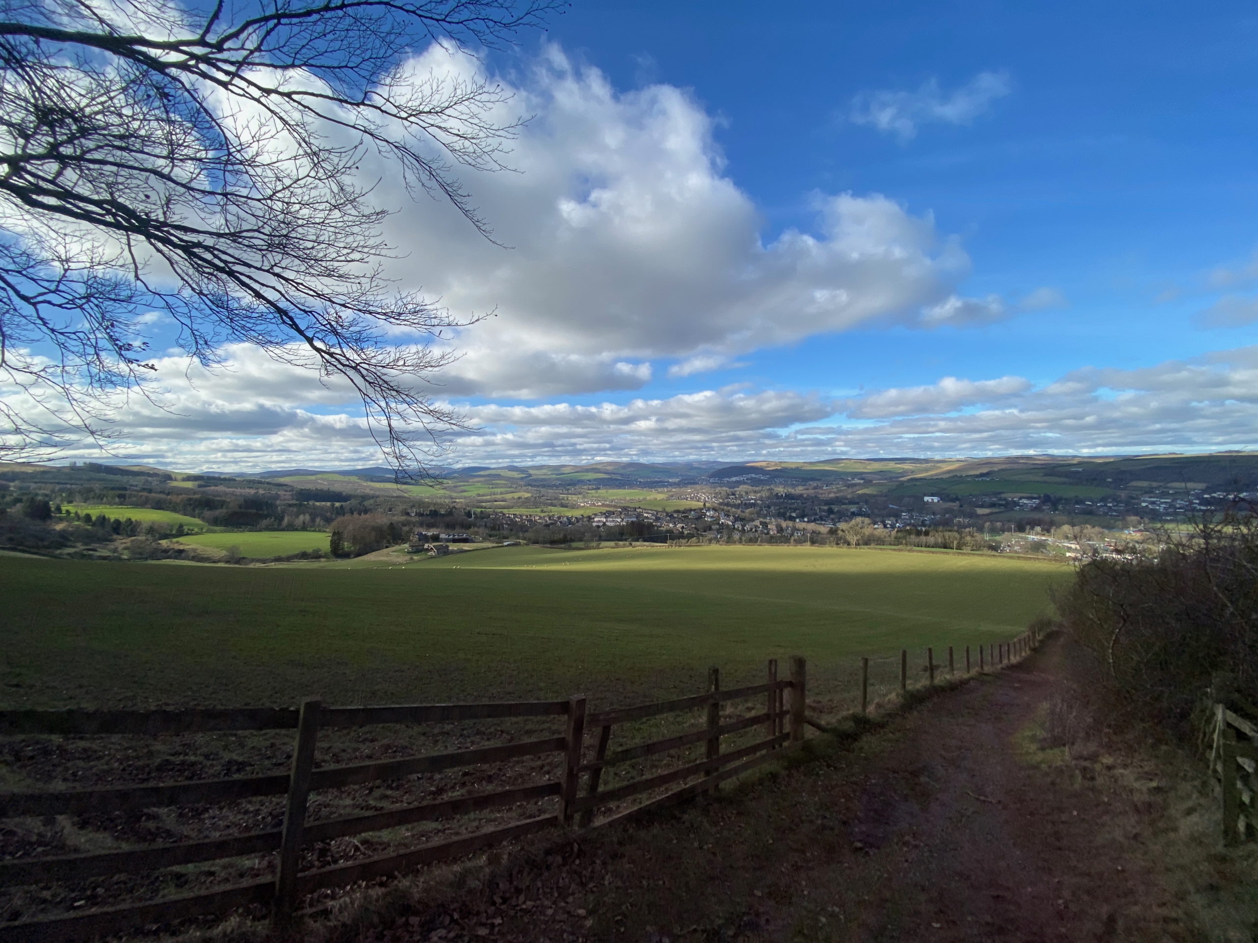 An open view looking back down a hill in dappled sunlight