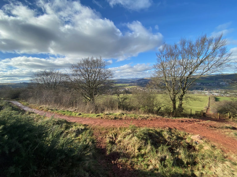 The path leads out of the town and up into the hills. A hedge runs beside the path Trees grow out of the hedge All connected Though some perhaps too close together
