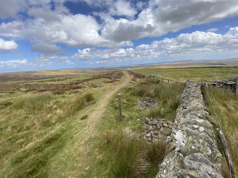 In development – an introduction