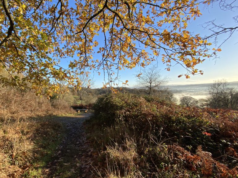 A venture into ideas