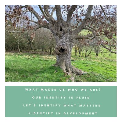 A twisted and wizen Ash tree on Banwell hill full of knot holes and lumpy growths that tell the story of its life