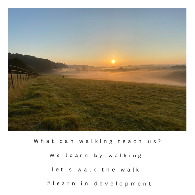 Sunrise and a low mist hangs over Ashton Court
